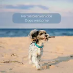 Banana Cake - Piscina, Doble Terraza, Ultima Planta , Wifi Y Parking * Corralejo
