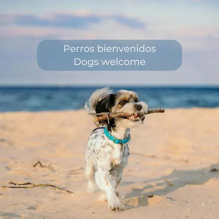 Banana Cake - Piscina, Doble Terraza, última Planta , Wifi Y Parking * Corralejo