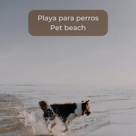 Banana Cake - Piscina, Doble Terraza, última Planta , Wifi Y Parking * Corralejo