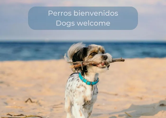 Banana Cake - Piscina, Doble Terraza, Ultima Planta , Wifi Y Parking * Corralejo