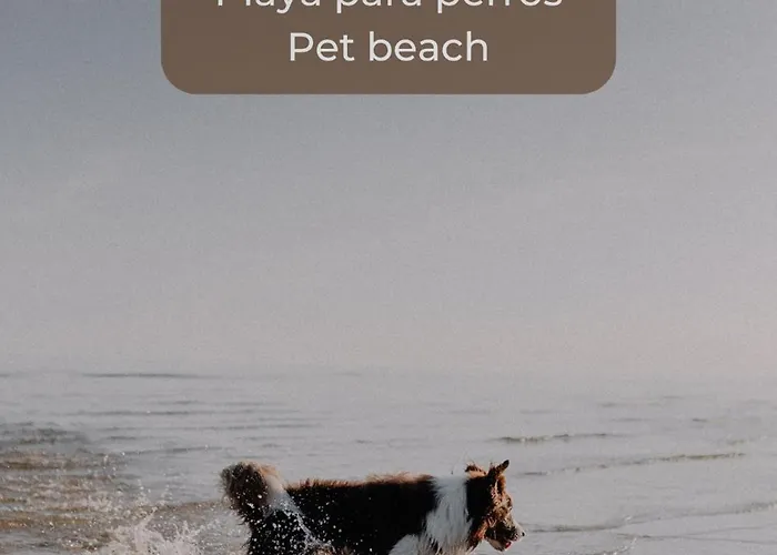 Banana Cake - Piscina, Doble Terraza, última Planta , Wifi Y Parking * Corralejo